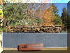A BEAUTIFUL, brass PFM/United Sumpter Valley HO scale HOn3 2-6-6-2... underneath on top of the 'spot-on' box view...